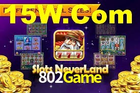 Game Providers 802Game